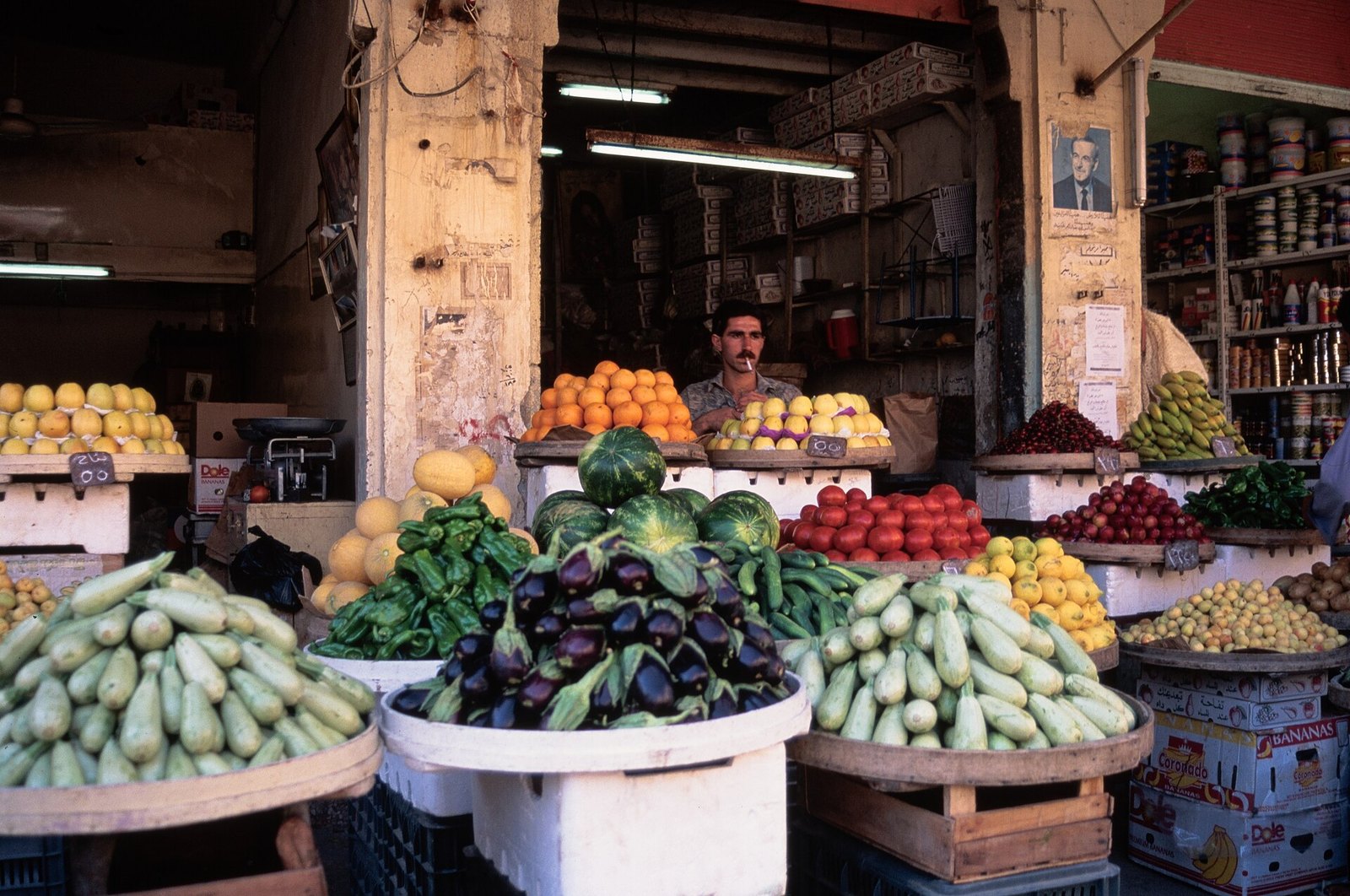 Mixed seasonal vegetable field under cultivation in the Euphrates valley